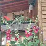 Na Skraju Wsi Dostep Do Jeziora Ublik * Konopki Wielkie
