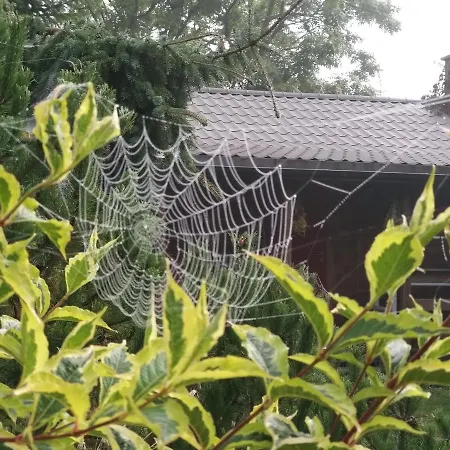 Lodge Na Skraju Wsi Dostep Do Jeziora Ublik Konopki Wielkie