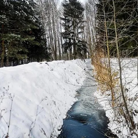 Na Skraju Wsi Dostep Do Jeziora Ublik Lodge *