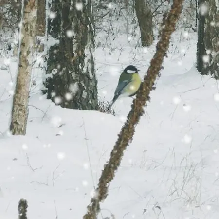 Na Skraju Wsi Dostep Do Jeziora Ublik * Konopki Wielkie