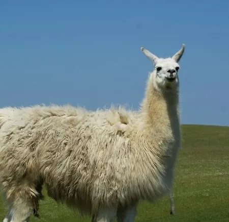 Lodge Na Skraju Wsi Dostep Do Jeziora Ublik