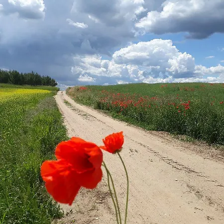 Lodge Na Skraju Wsi Dostep Do Jeziora Ublik Konopki Wielkie
